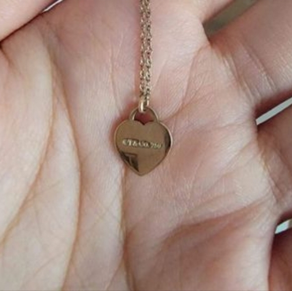 Tiffany and Co. Double Heart Necklace (with a 18k Solid Gold Pendant) - Picture 3 of 3